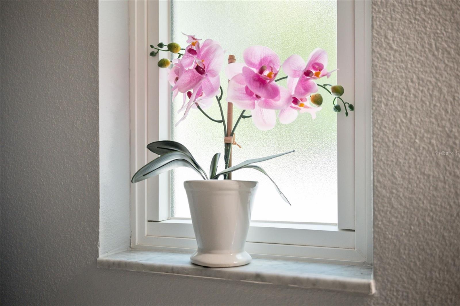 719 BELTREES ST #C, DUNEDIN, FL, 34698