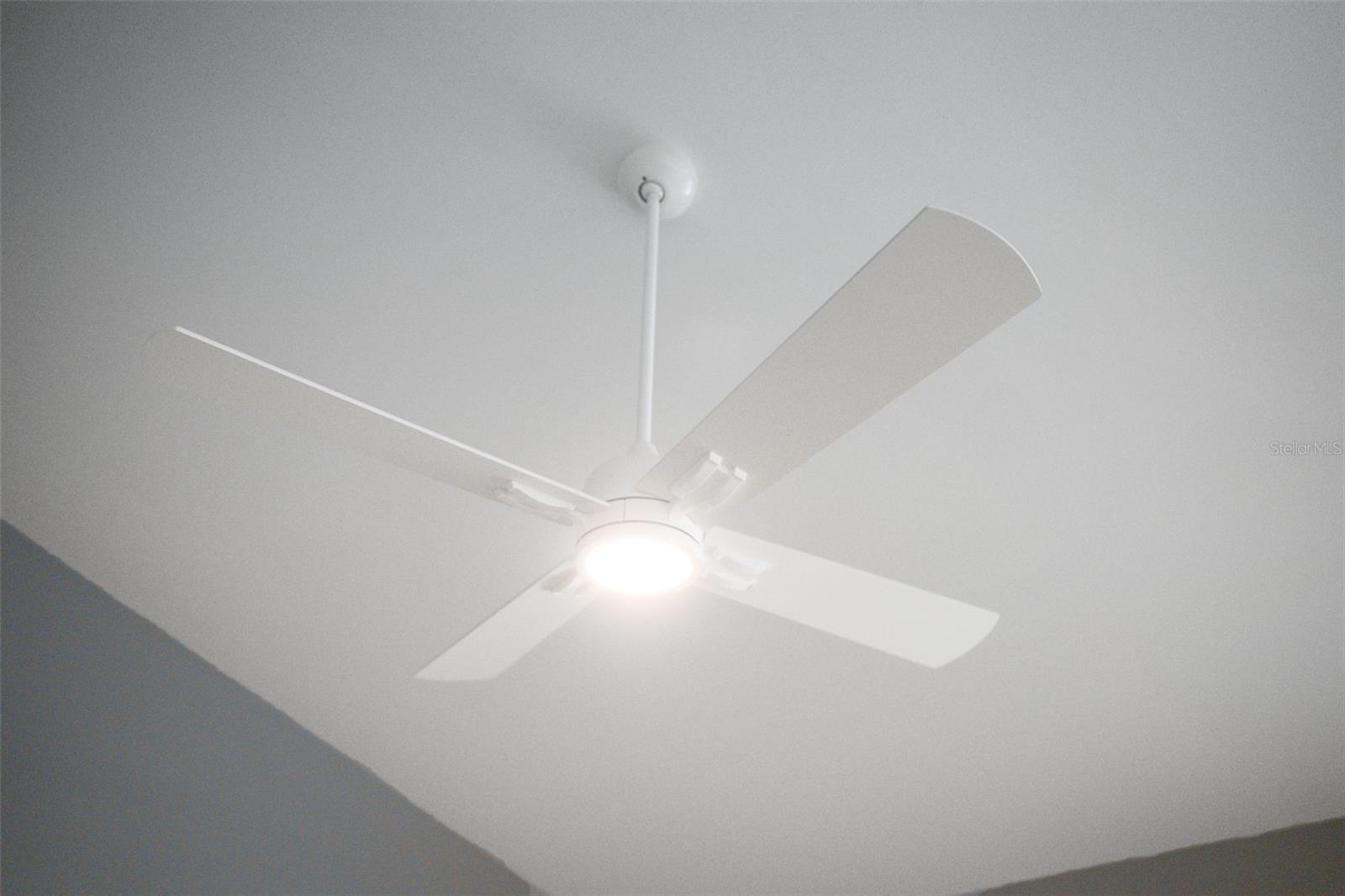 719 BELTREES ST #C, DUNEDIN, FL, 34698