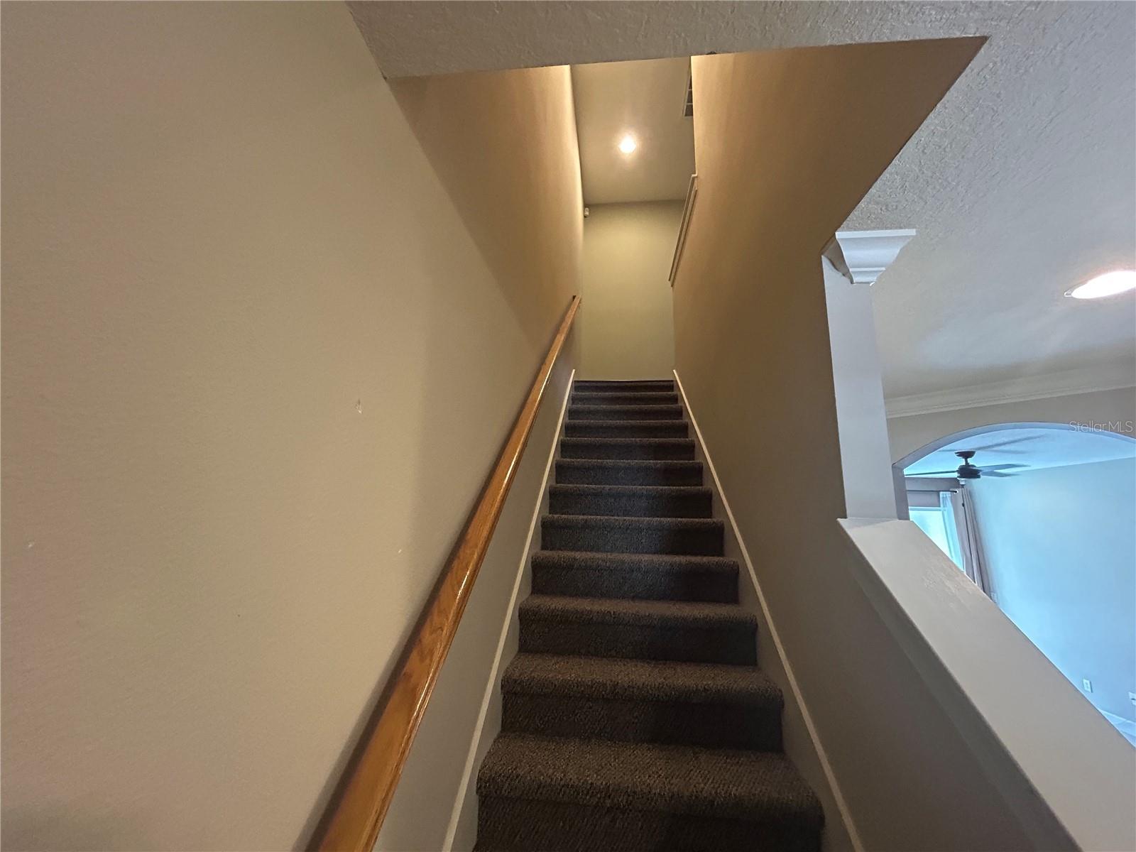 403 E TUSCAN LN E, OLDSMAR, FL, 34677