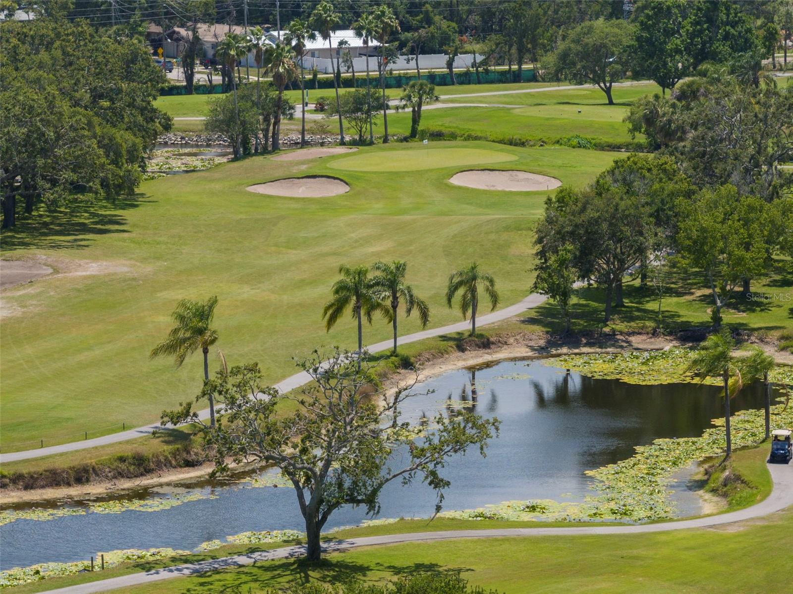 2616 COVE CAY DR #803, CLEARWATER, FL, 33760