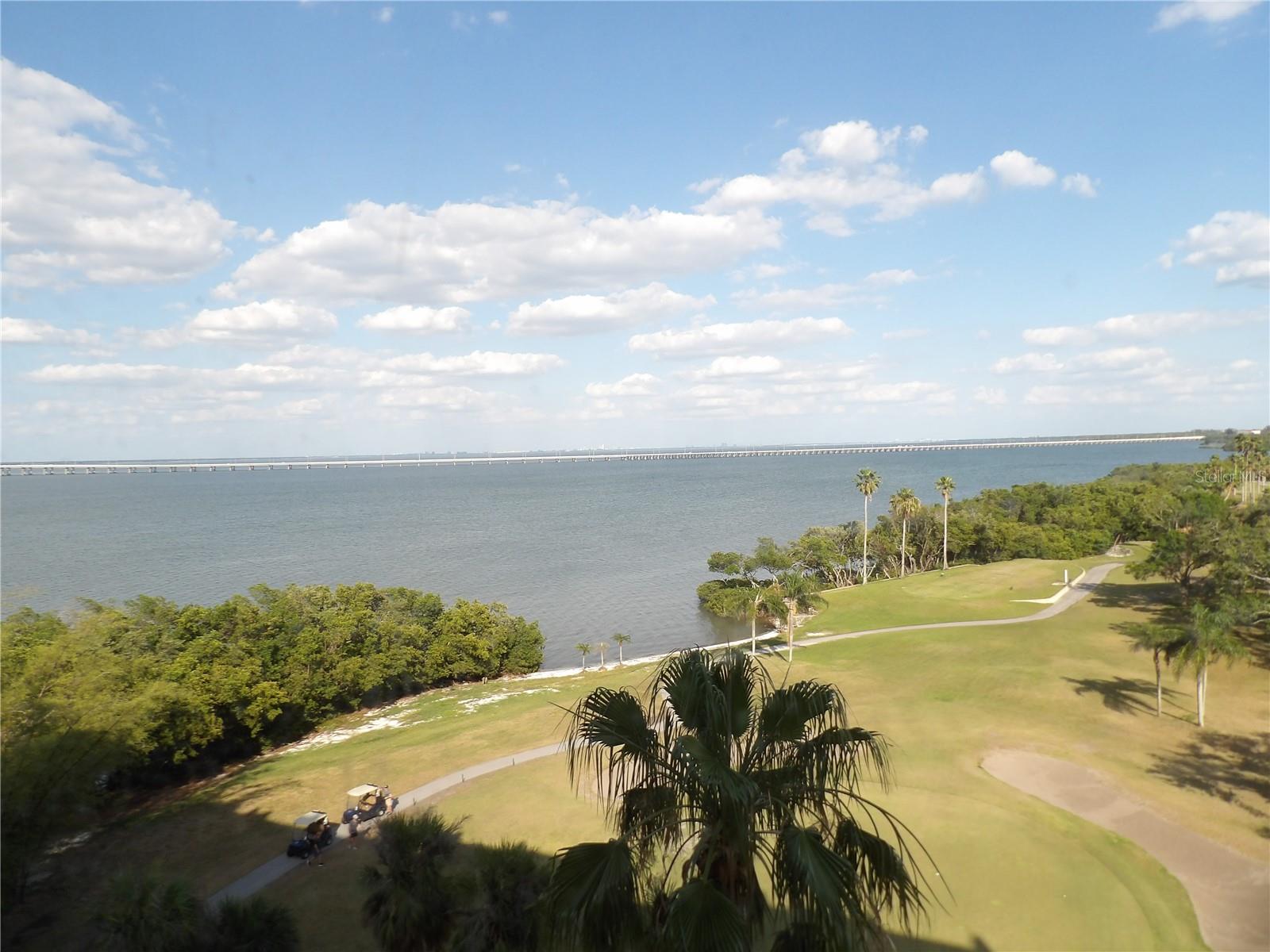 2616 COVE CAY DR #803, CLEARWATER, FL, 33760