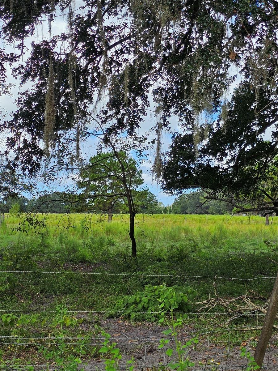 00 CR65, BUNNELL, FL, 32110