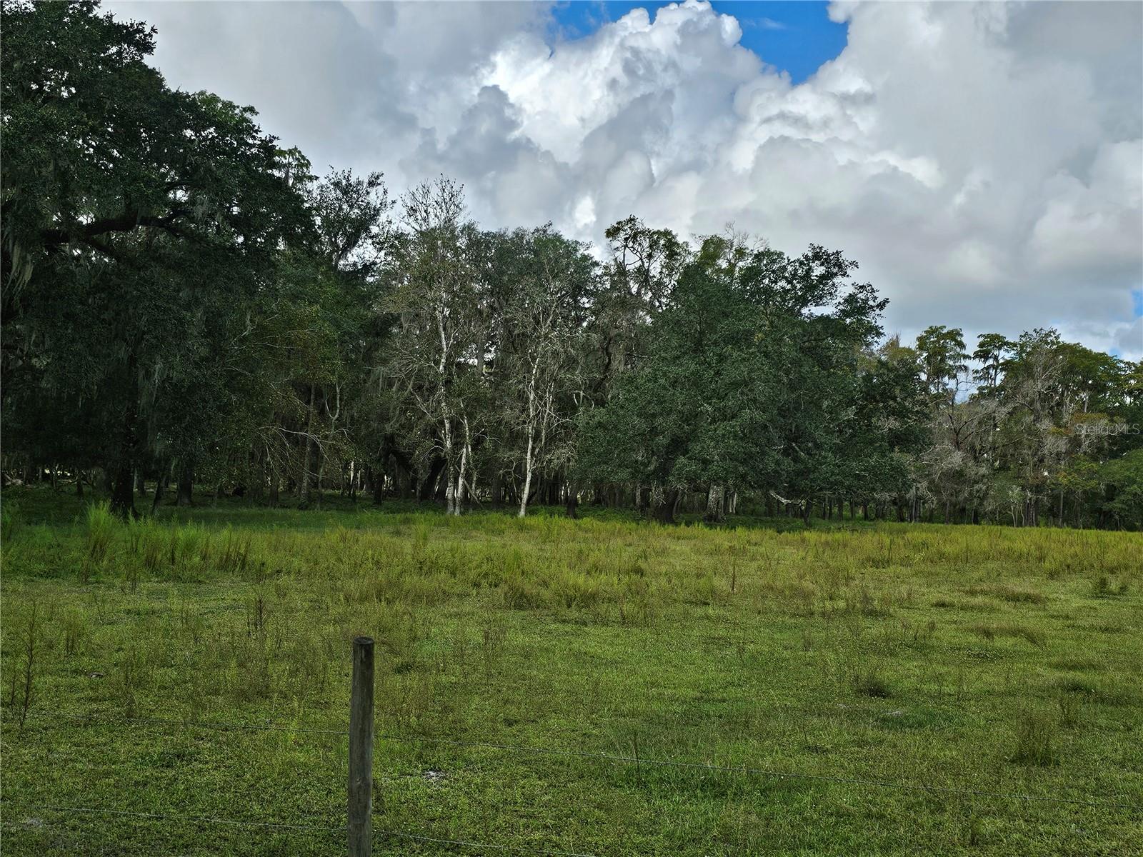00 CR65, BUNNELL, FL, 32110