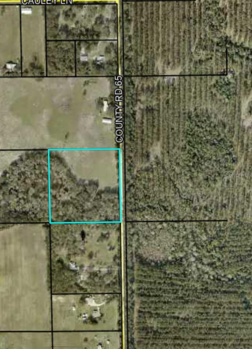00 CR65, BUNNELL, FL, 32110