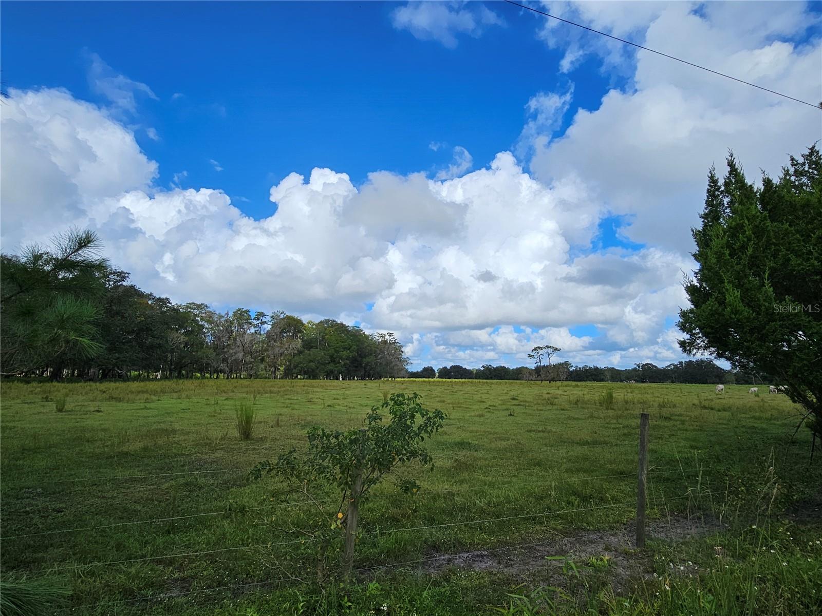 00 CR65, BUNNELL, FL, 32110