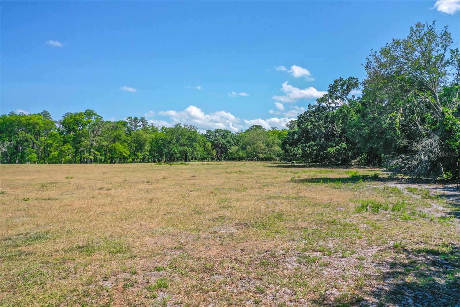 00 CR65, BUNNELL, FL, 32110