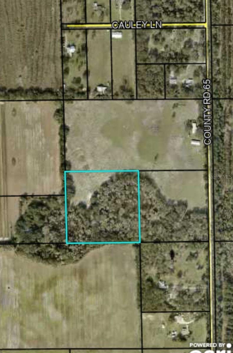 000 CR65, BUNNELL, FL, 32110