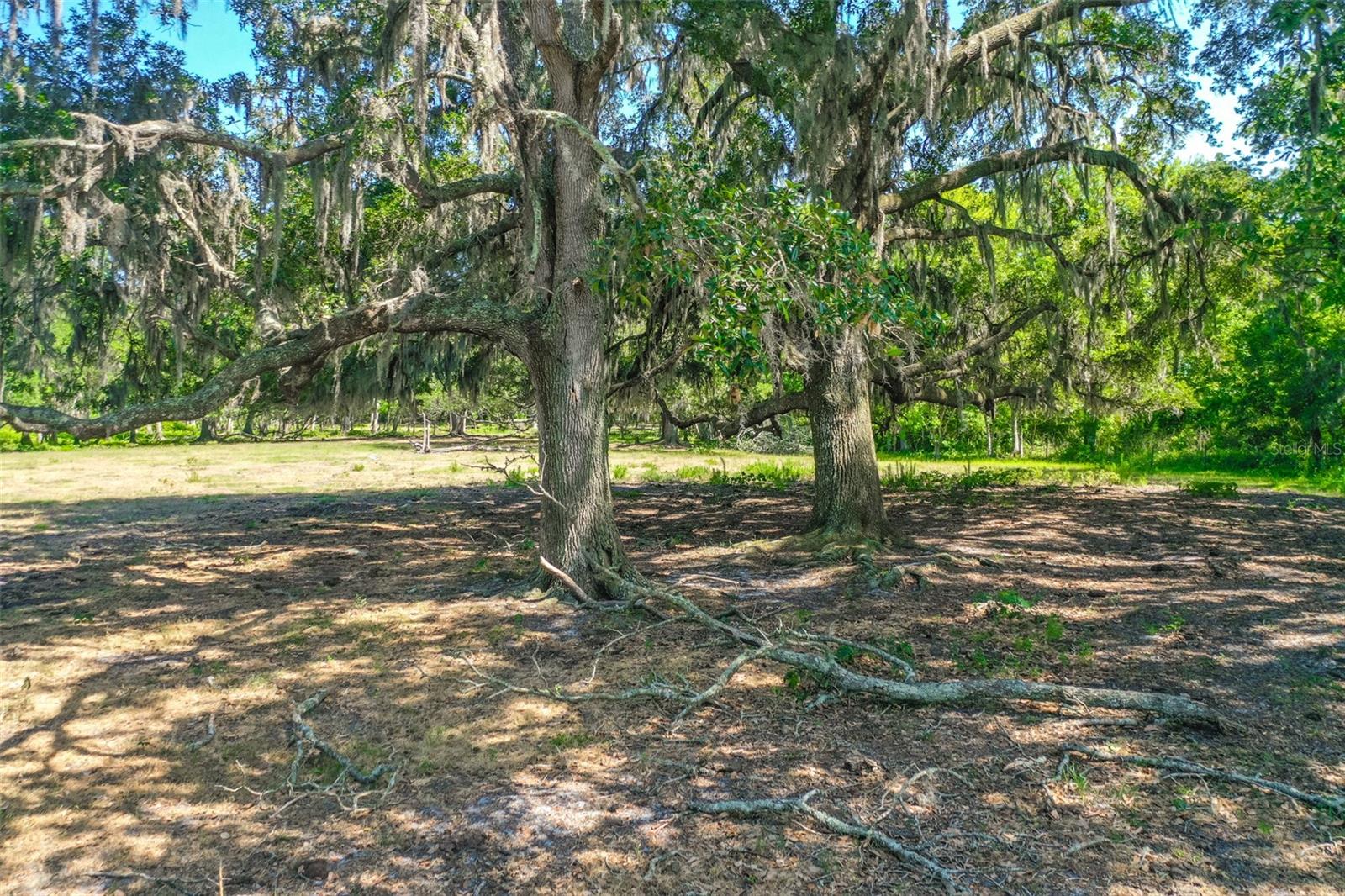 000 CR65, BUNNELL, FL, 32110