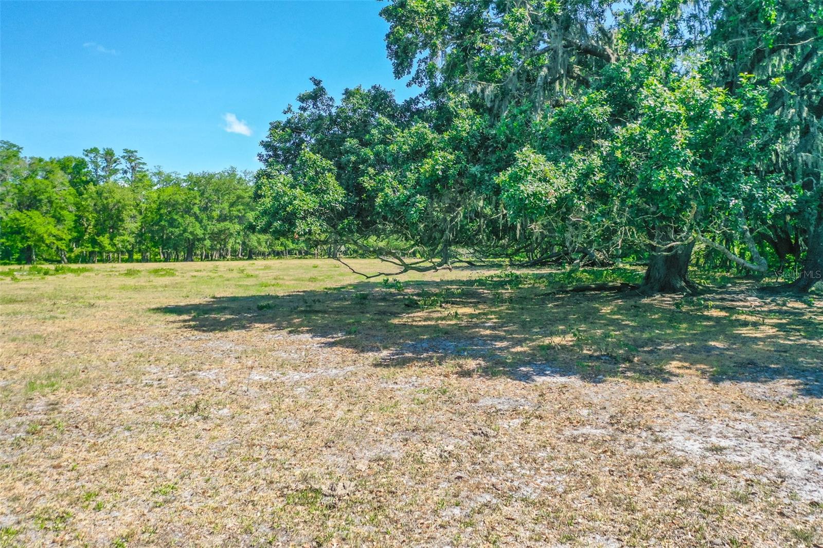 000 CR65, BUNNELL, FL, 32110