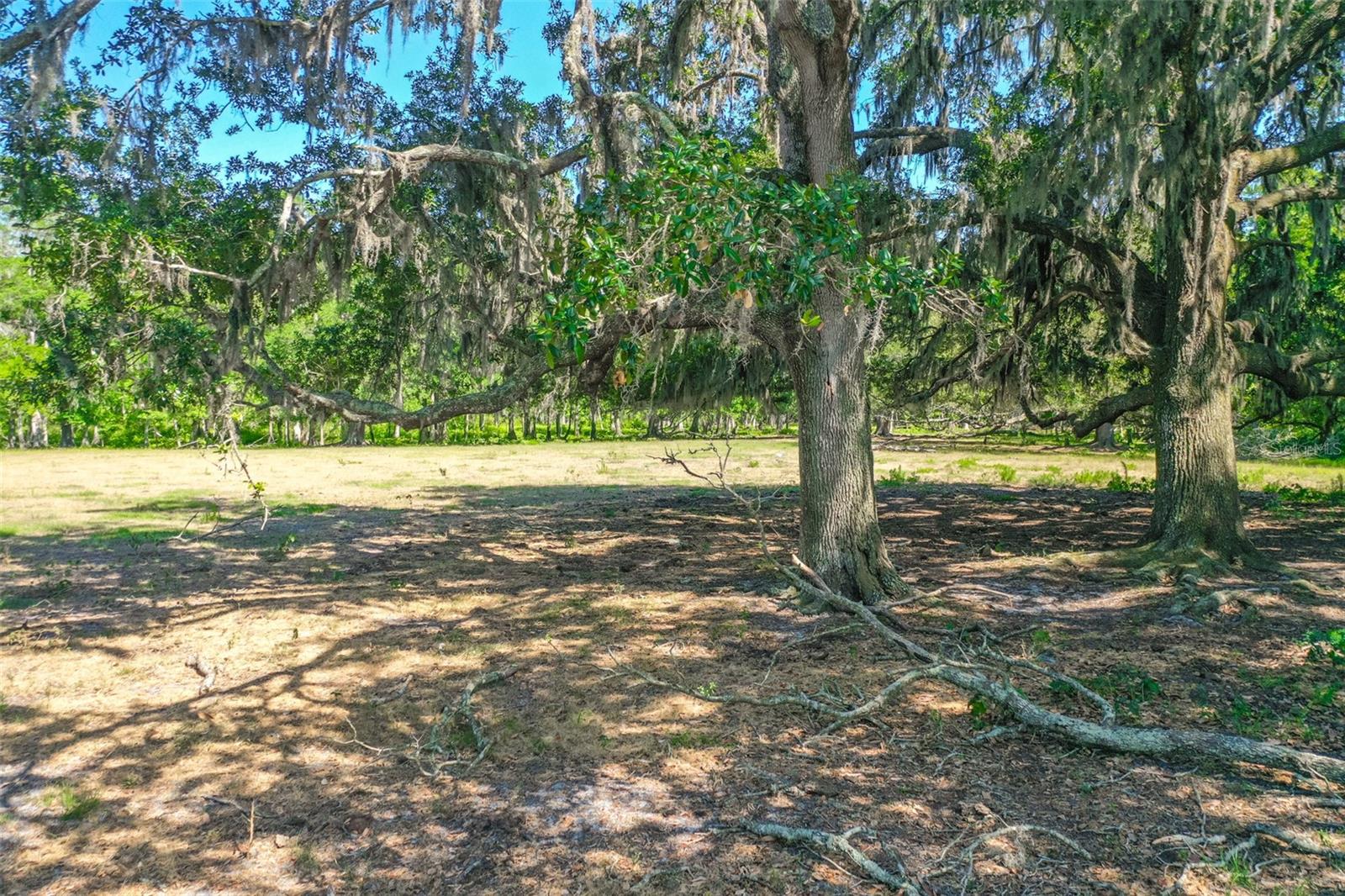 000 CR65, BUNNELL, FL, 32110