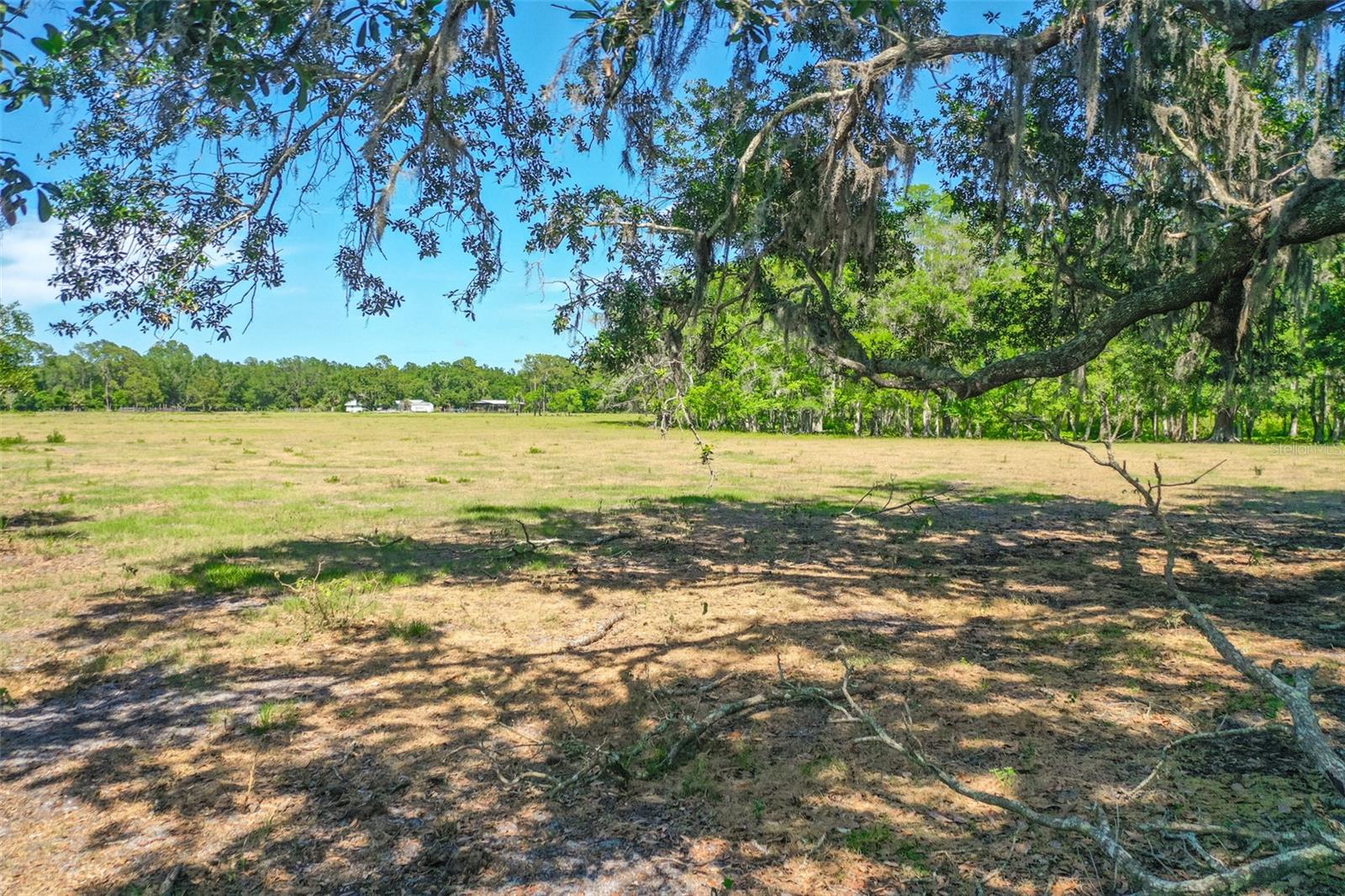 000 CR65, BUNNELL, FL, 32110