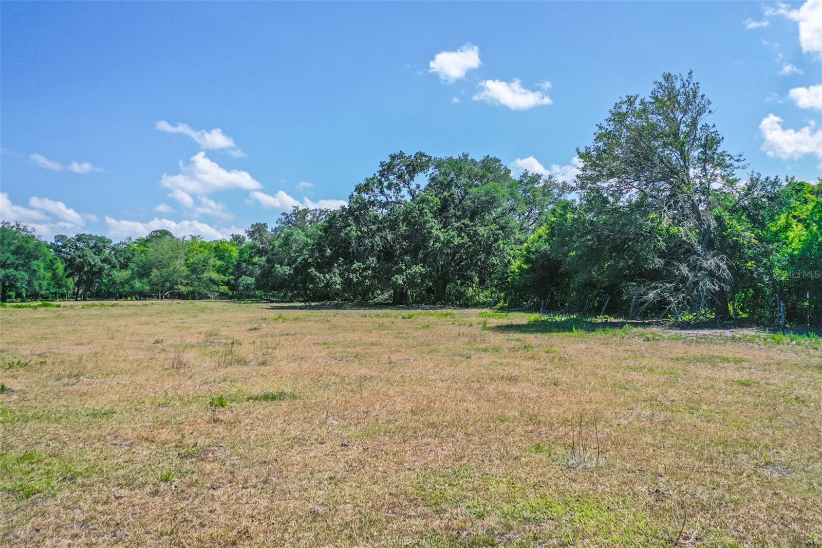 000 CR65, BUNNELL, FL, 32110