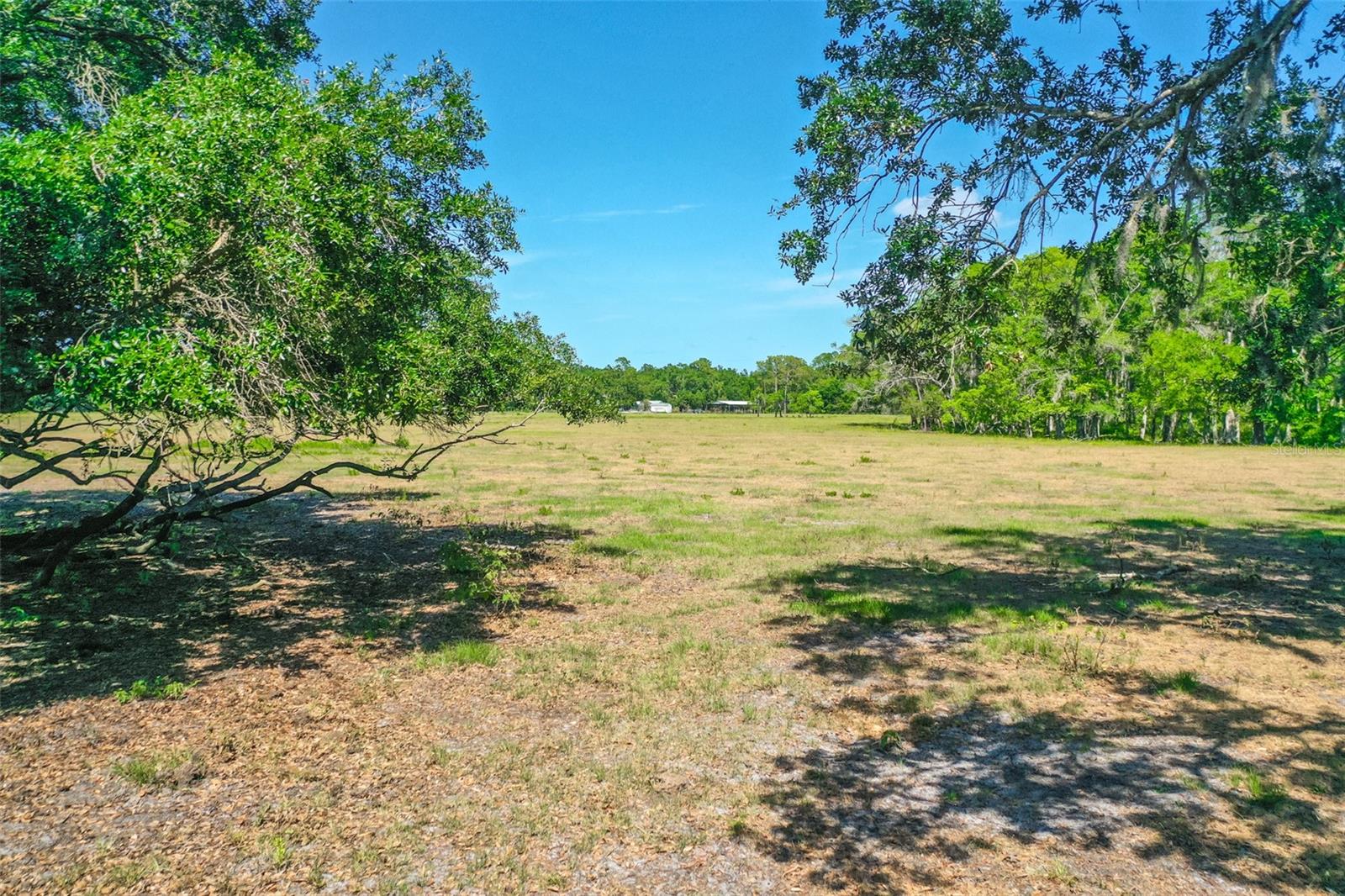 000 CR65, BUNNELL, FL, 32110