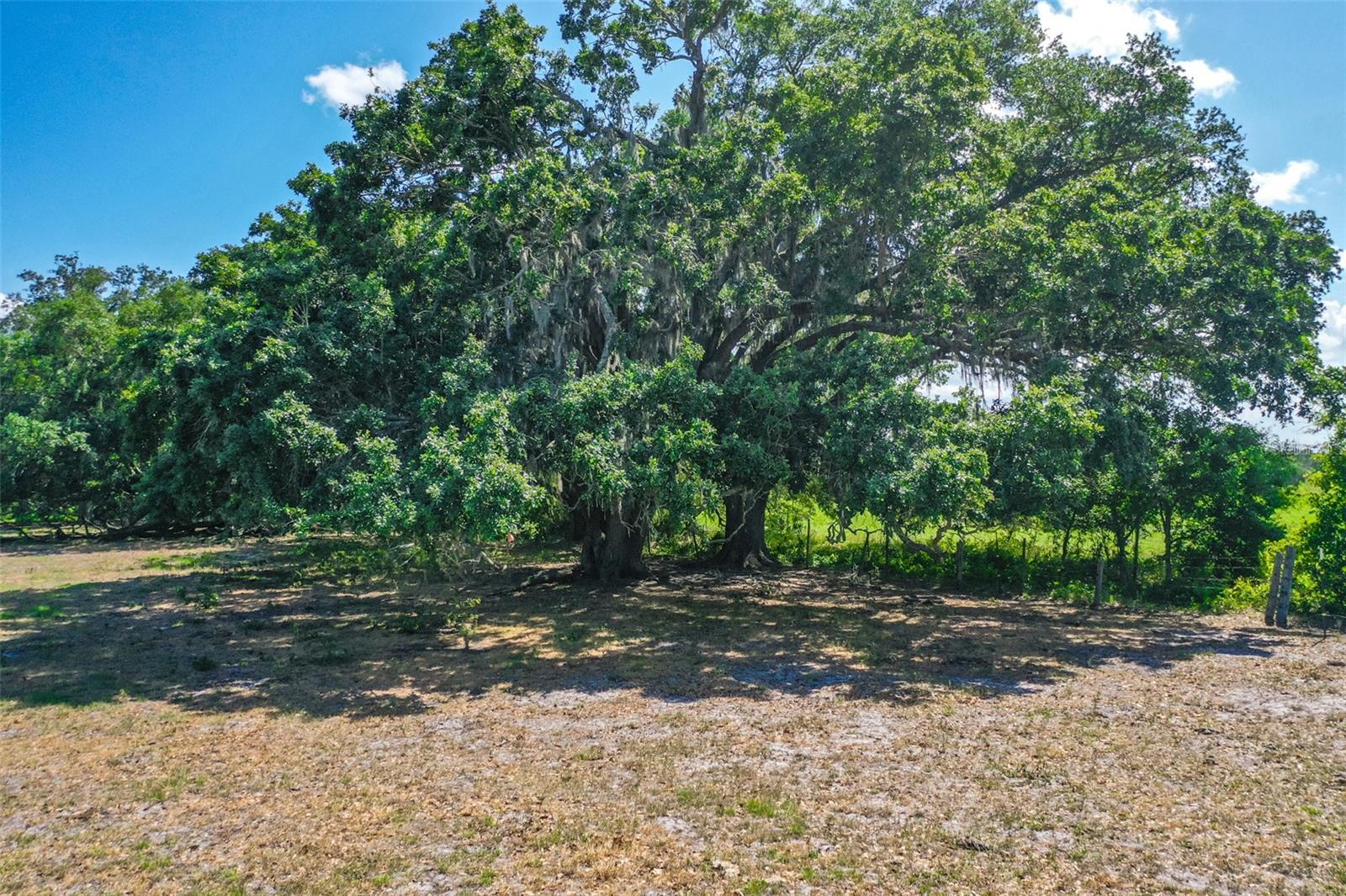 000 CR65, BUNNELL, FL, 32110