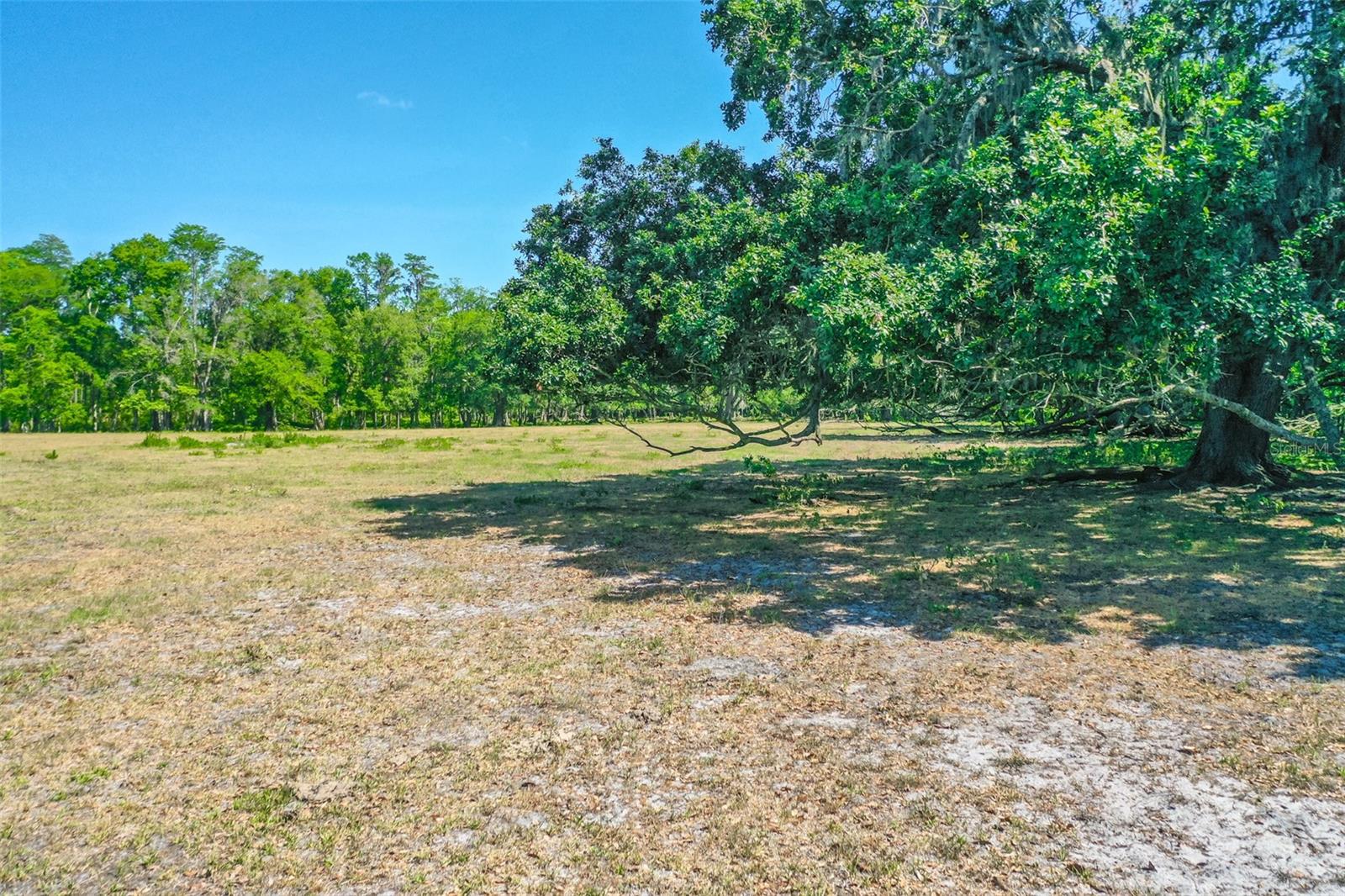 000 CR65, BUNNELL, FL, 32110