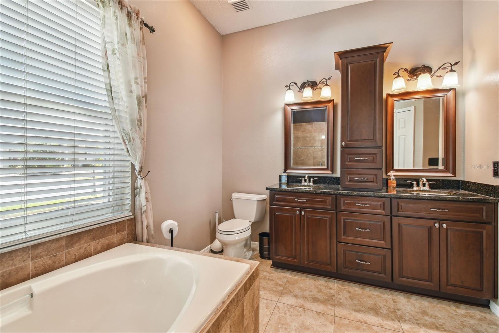 18533 AVOCET DR, LUTZ, FL, 33558