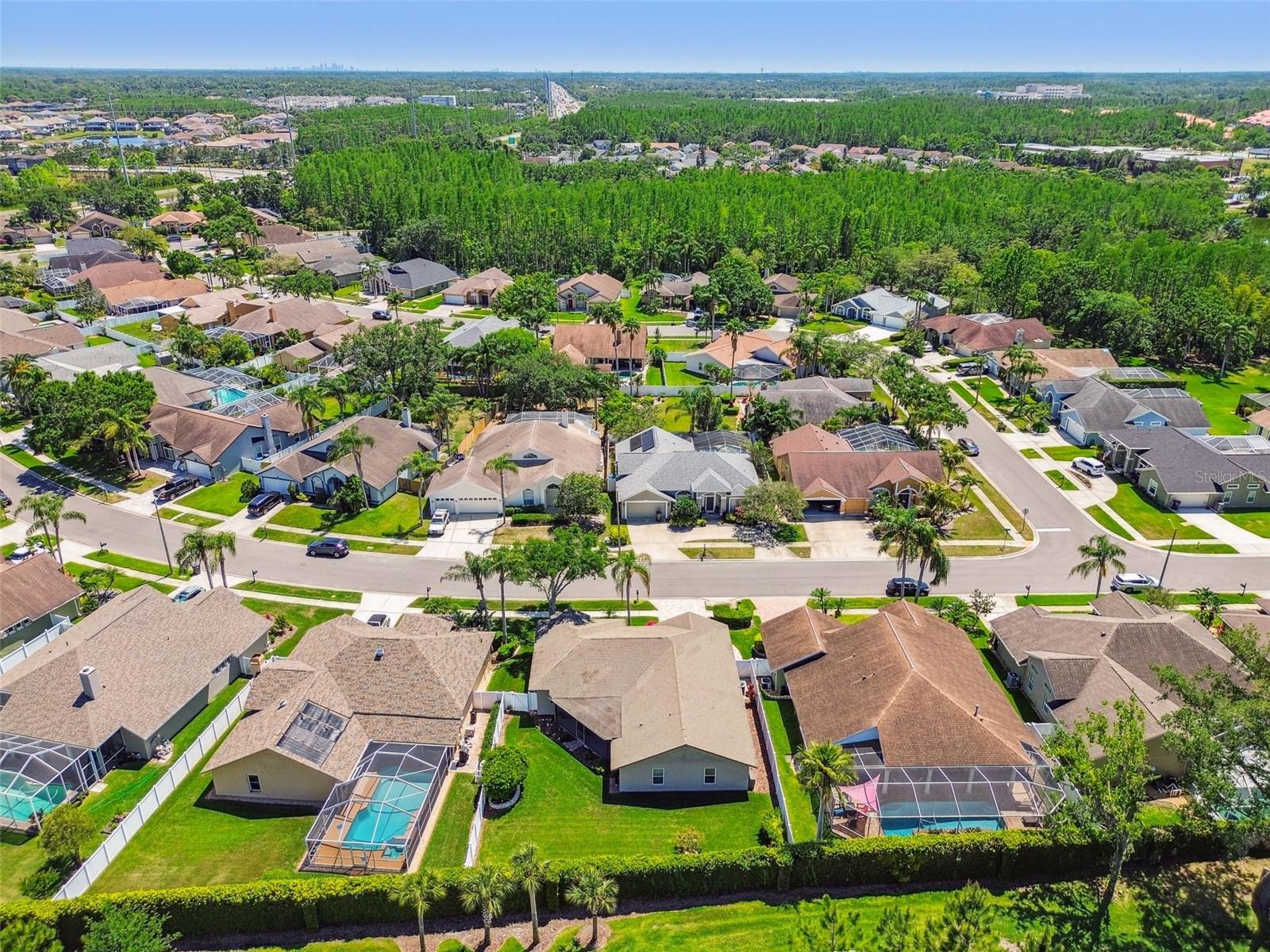 18533 AVOCET DR, LUTZ, FL, 33558