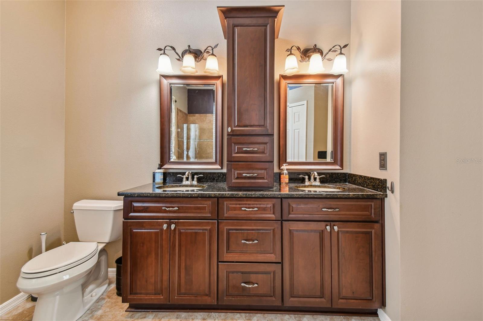 18533 AVOCET DR, LUTZ, FL, 33558