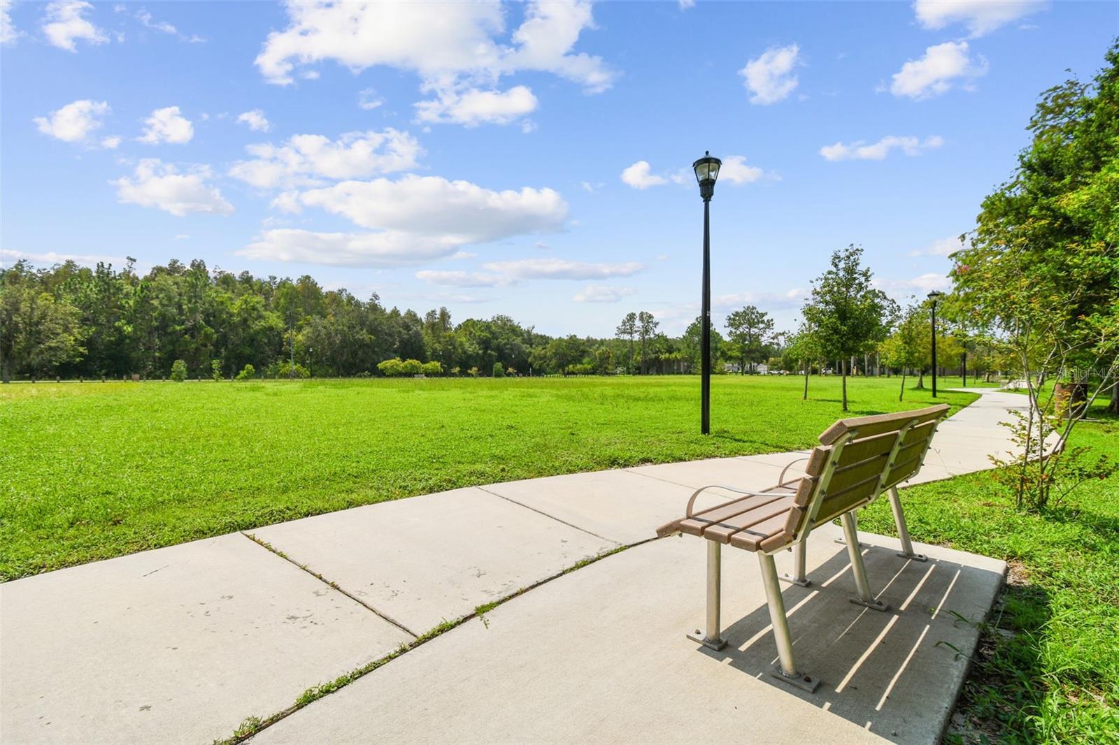 18533 AVOCET DR, LUTZ, FL, 33558