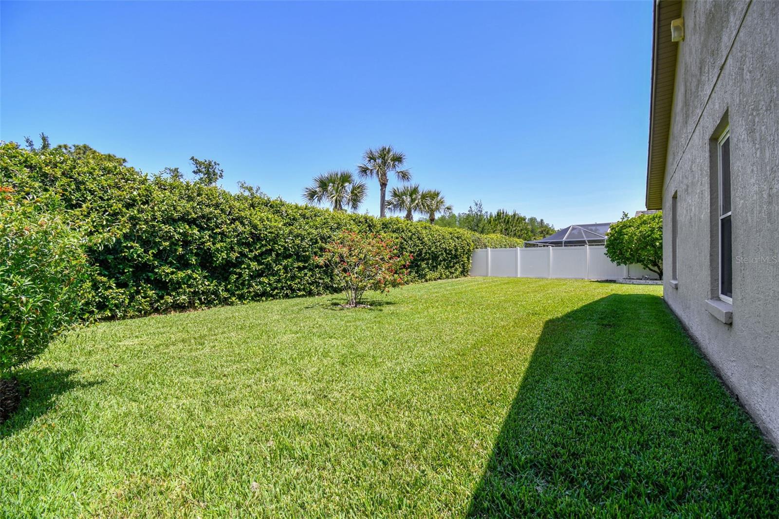 18533 AVOCET DR, LUTZ, FL, 33558