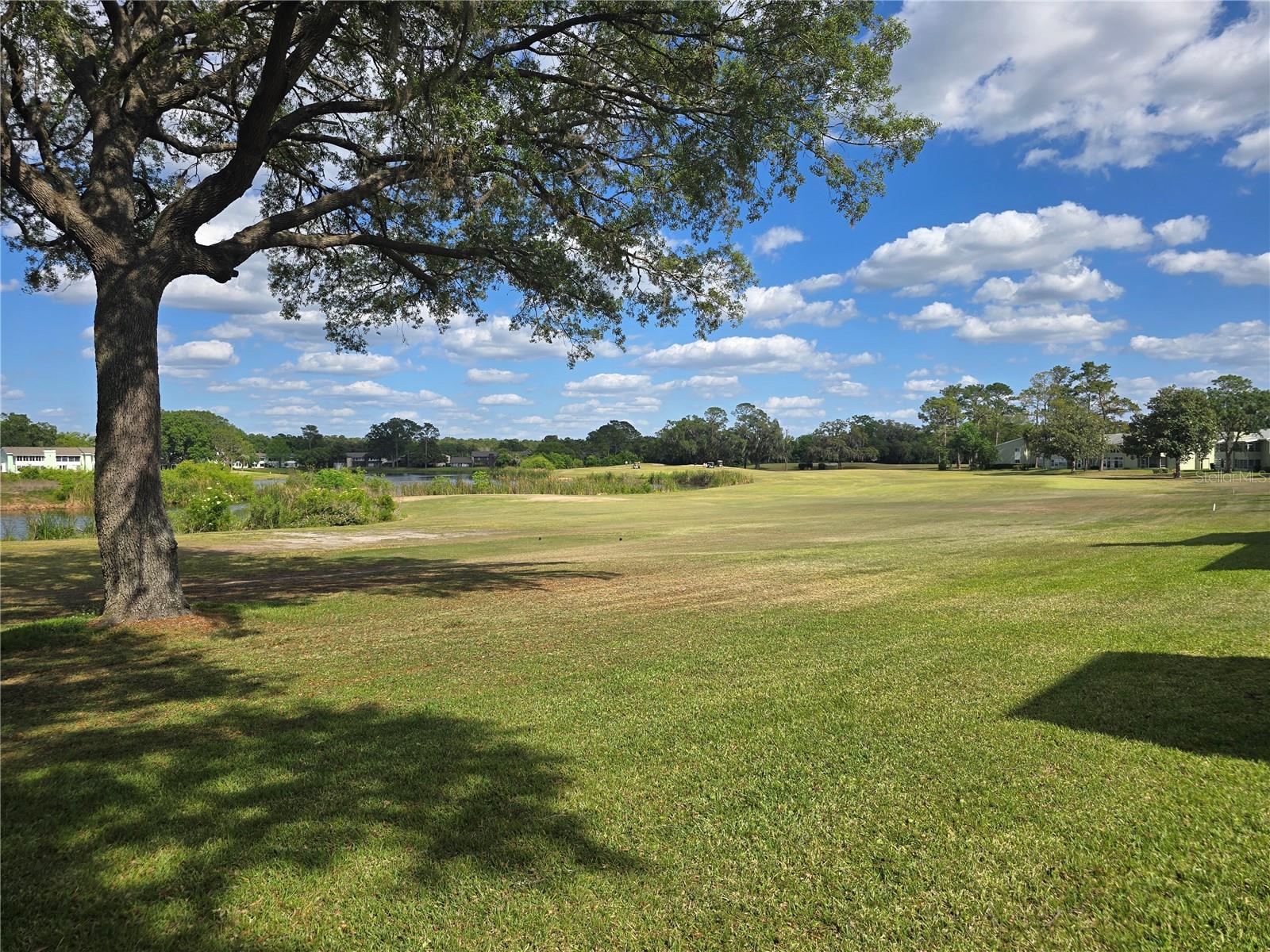 520 FAIRWAYS CIR #A, OCALA, FL, 34472