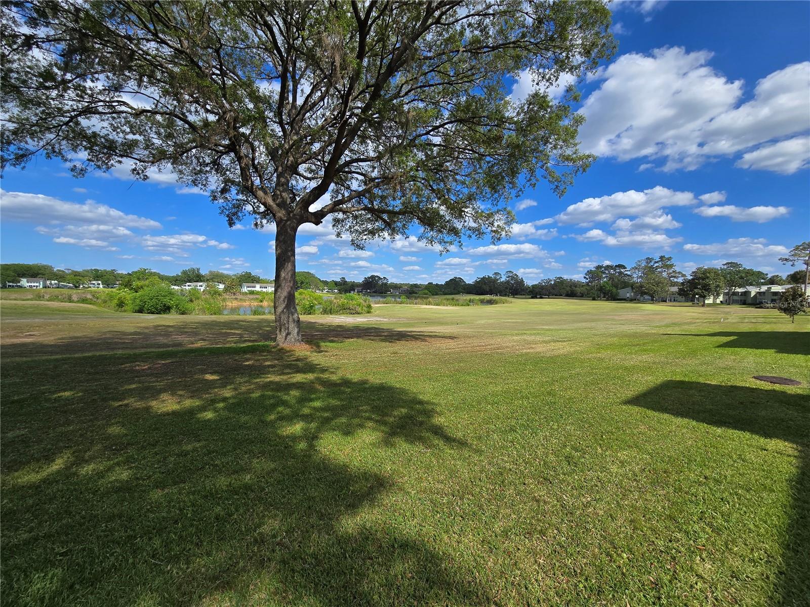 520 FAIRWAYS CIR #A, OCALA, FL, 34472