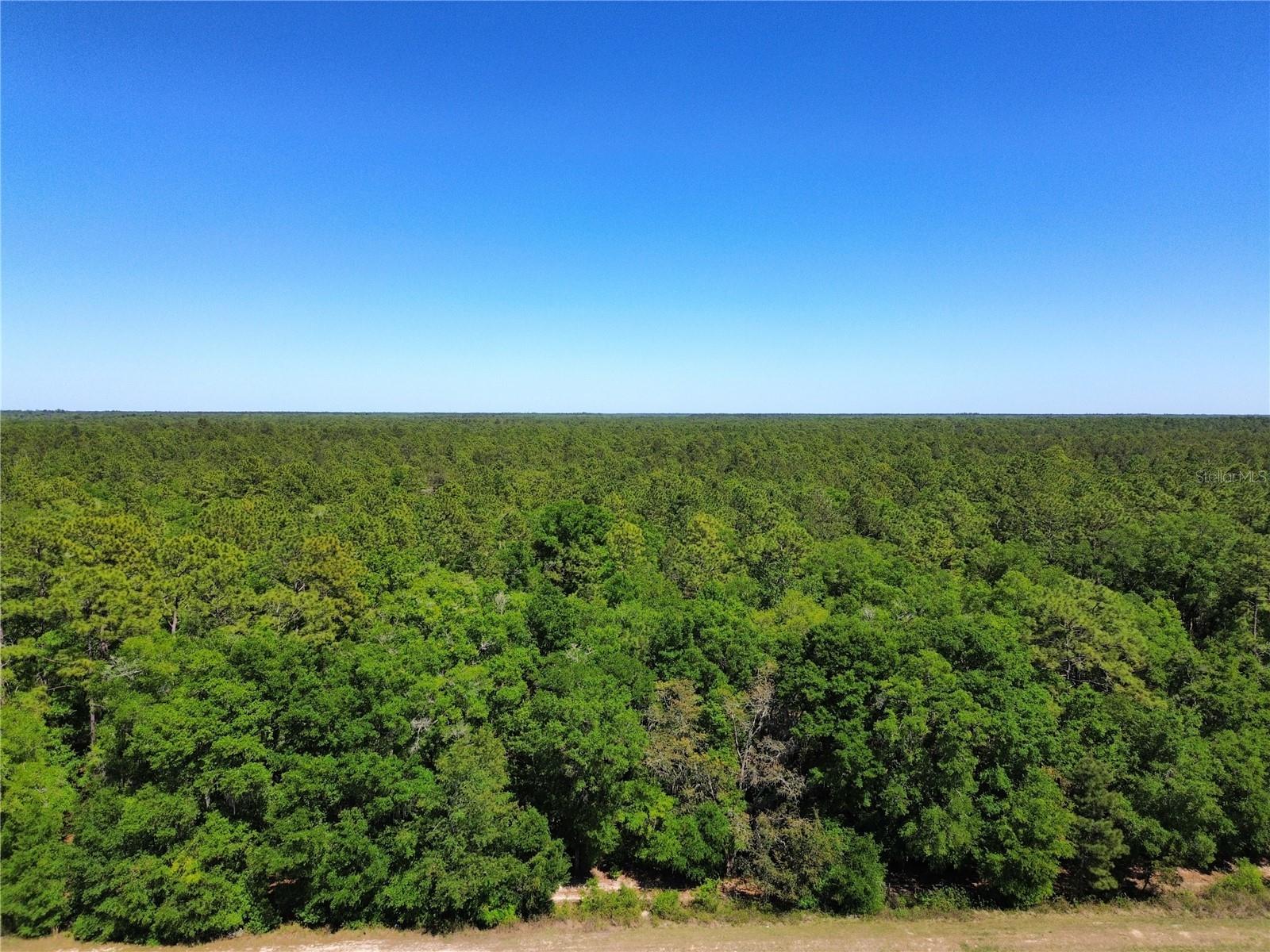 5198 NE 19TH PL, OCALA, FL, 34470