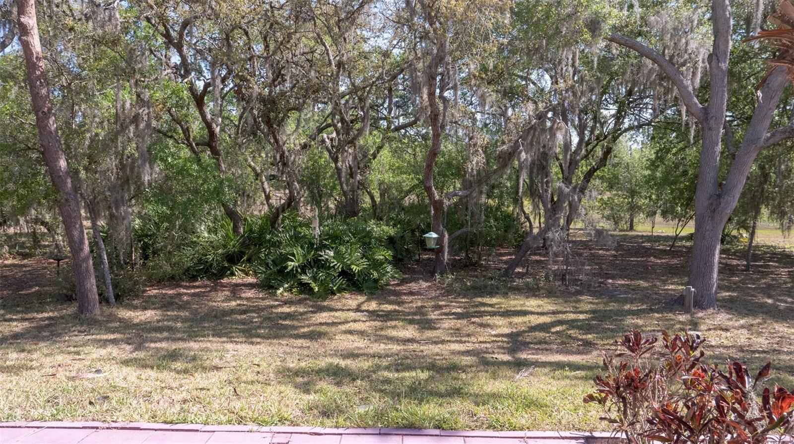 13722 CREST LAKE DR, HUDSON, FL, 34669