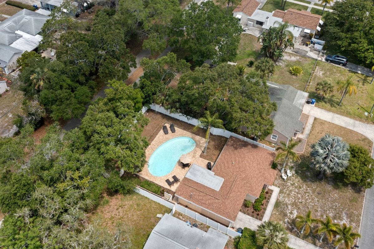 1658 DOUGLAS AVE, DUNEDIN, FL, 34698