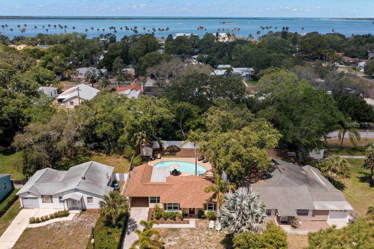 1658 DOUGLAS AVE, DUNEDIN, FL, 34698
