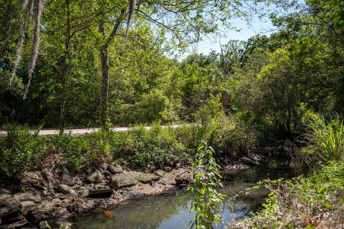 1658 DOUGLAS AVE, DUNEDIN, FL, 34698