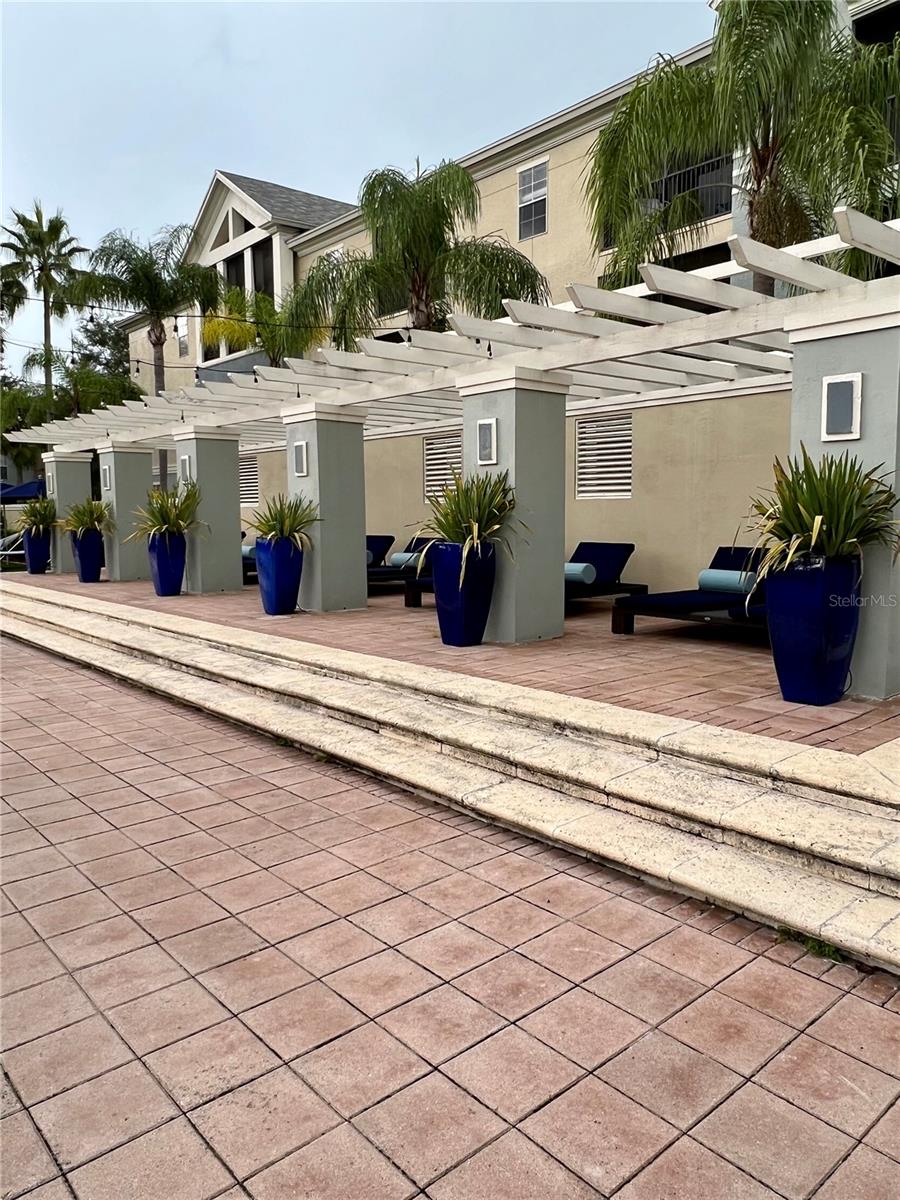 14929 ARBOR SPRINGS CIR #312, TAMPA, FL, 33624