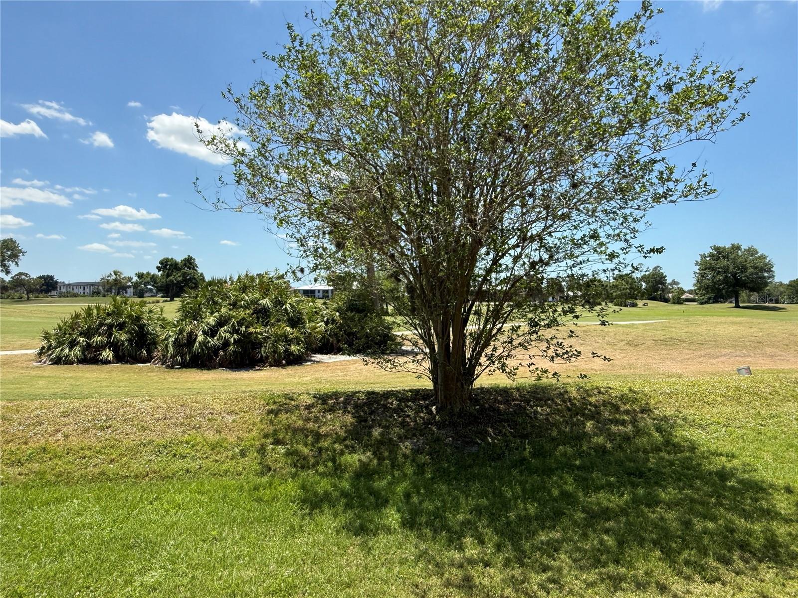 1295 SAXONY CIR #2101, PUNTA GORDA, FL, 33983