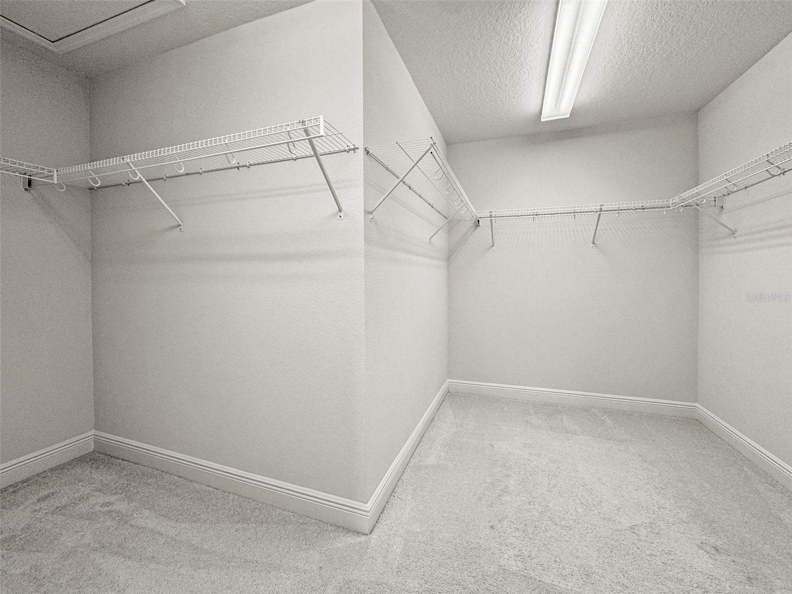 13299 WILDGRASS TRL, ODESSA, FL, 33556