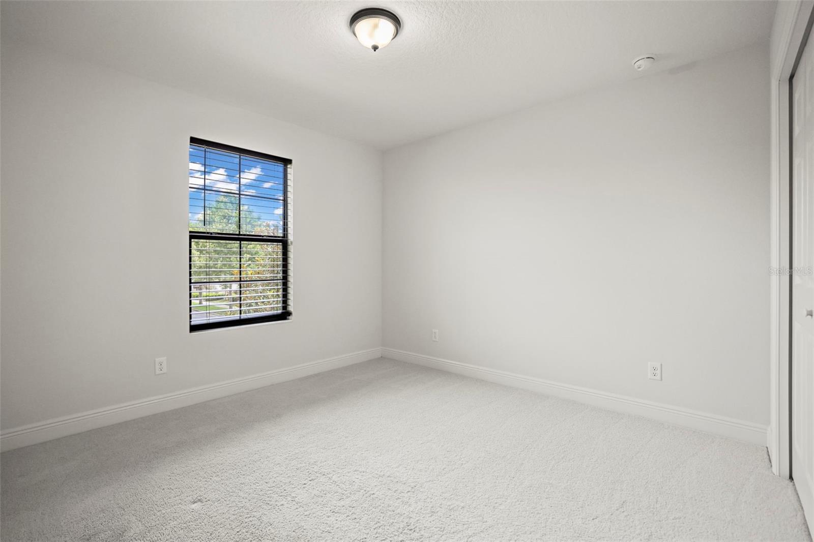 13299 WILDGRASS TRL, ODESSA, FL, 33556