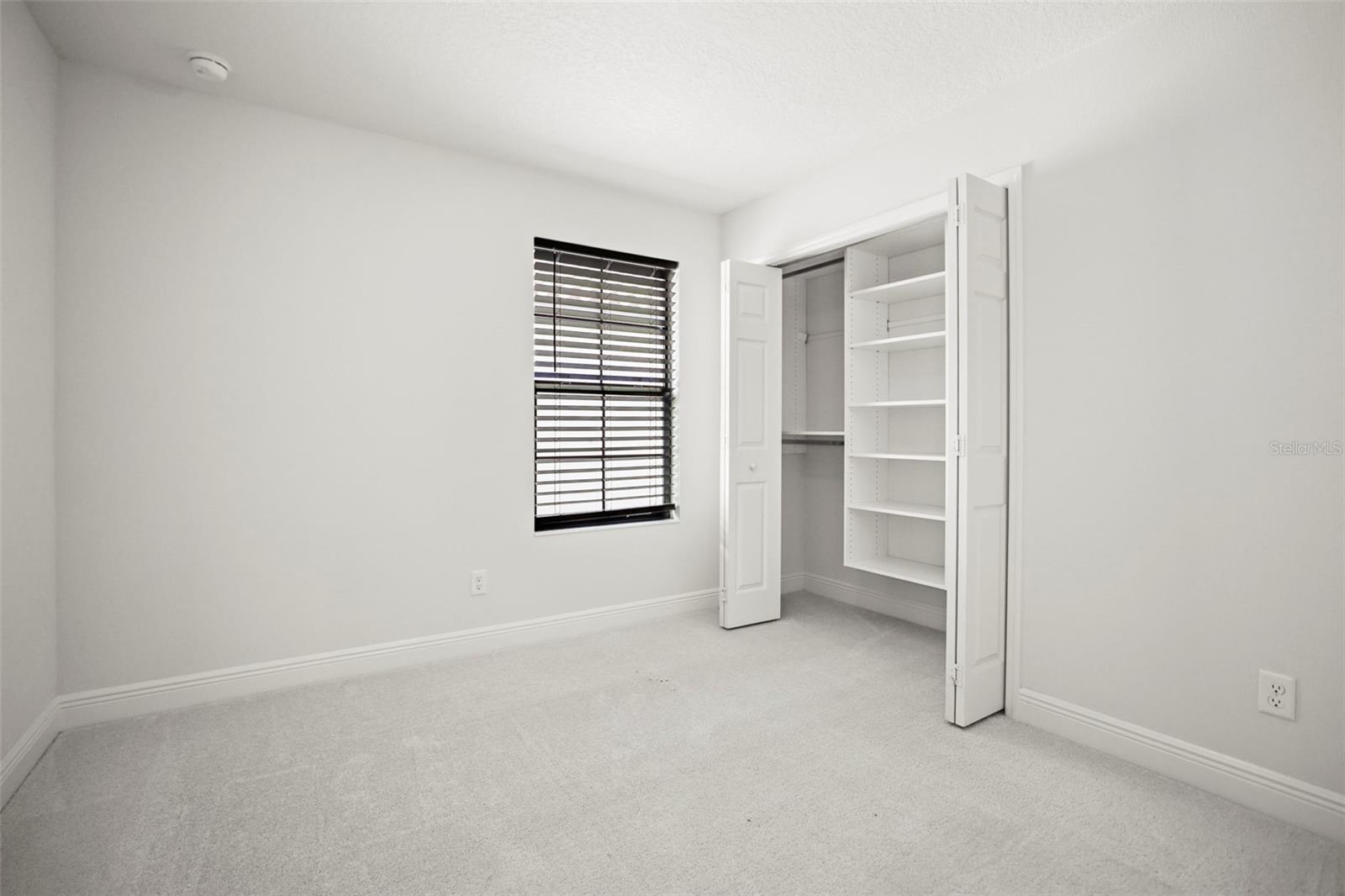 13299 WILDGRASS TRL, ODESSA, FL, 33556