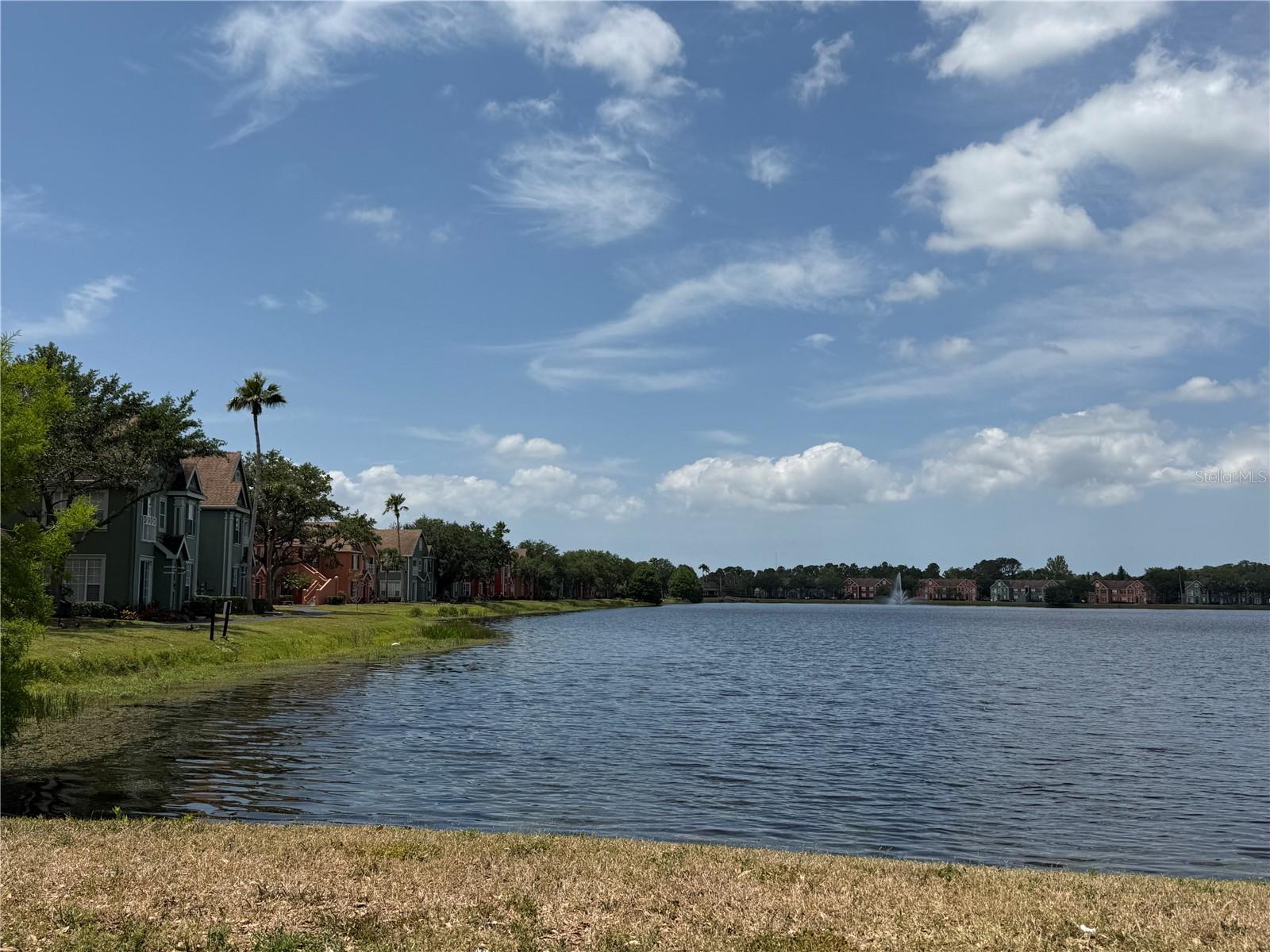 9650 LAKE CHASE ISLAND WAY #9650, TAMPA, FL, 33626