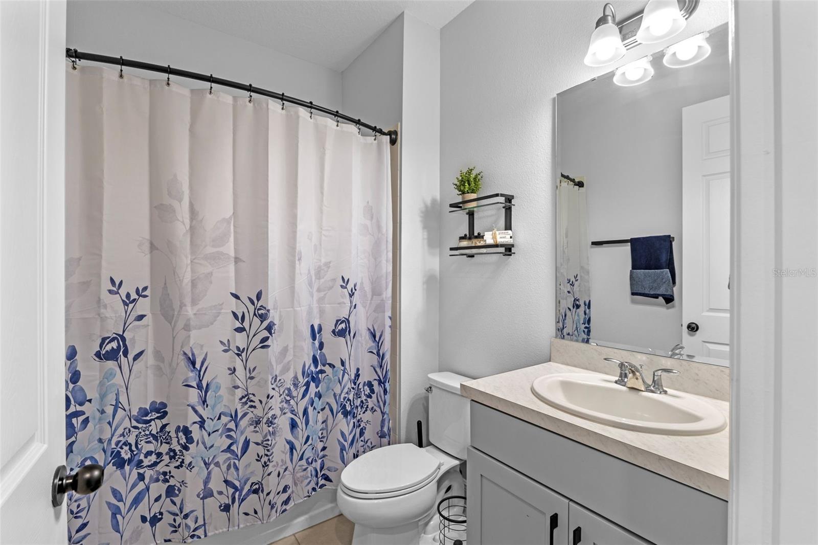 5981 SIERRA CROWN ST, MOUNT DORA, FL, 32757