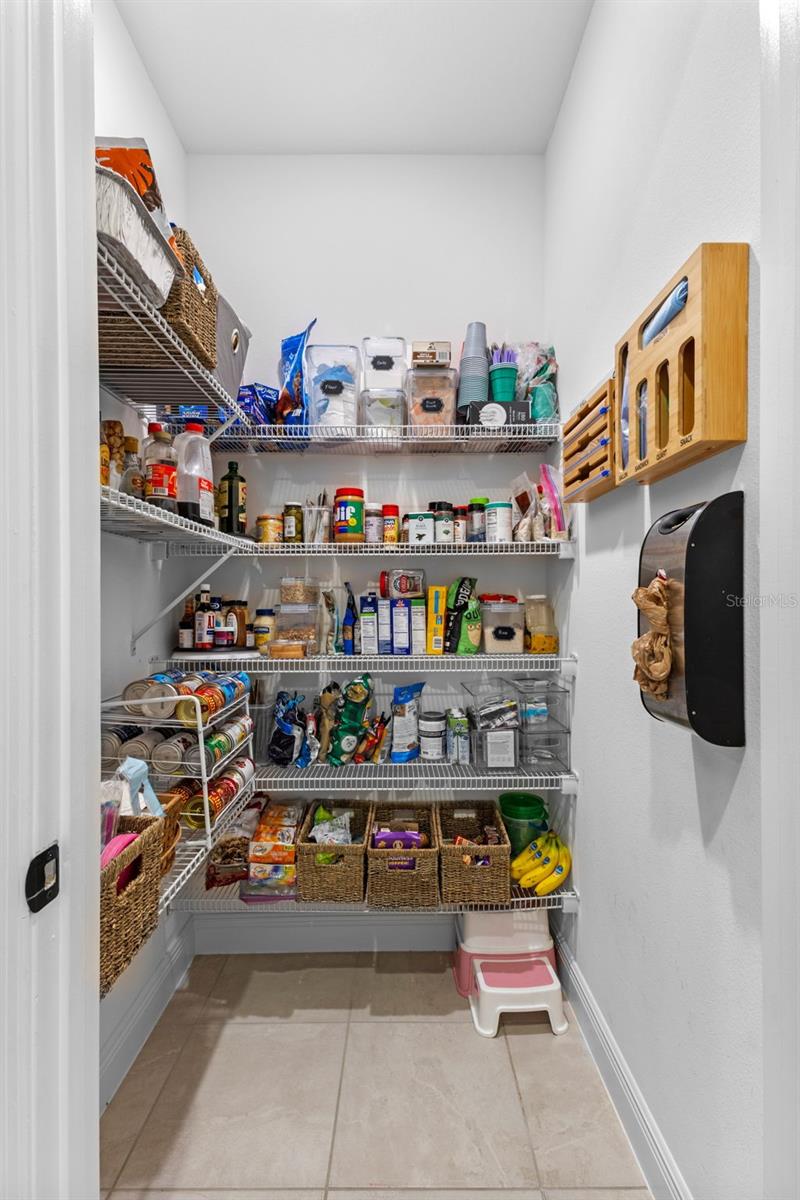 5981 SIERRA CROWN ST, MOUNT DORA, FL, 32757