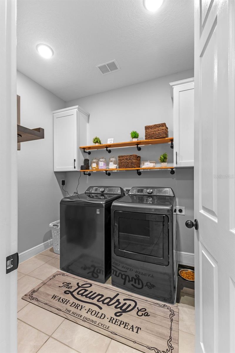 5981 SIERRA CROWN ST, MOUNT DORA, FL, 32757