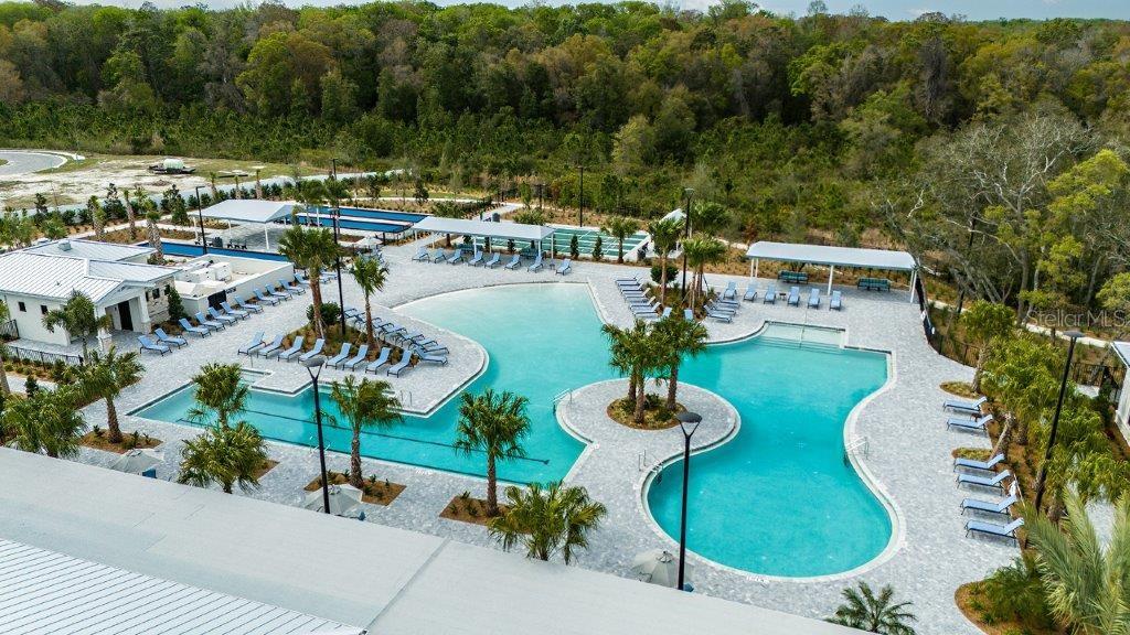 16971 WARM HAND CT, LAND O LAKES, FL, 34638