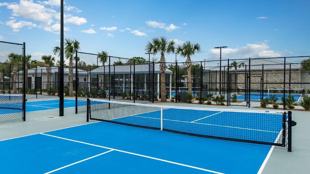 16971 WARM HAND CT, LAND O LAKES, FL, 34638