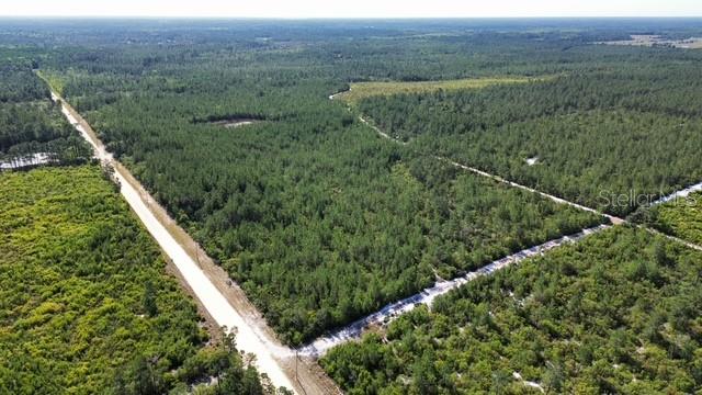 SAWGRASS FILL RD, EUSTIS, FL, 32736