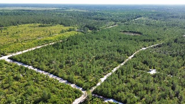 SAWGRASS FILL RD, EUSTIS, FL, 32736