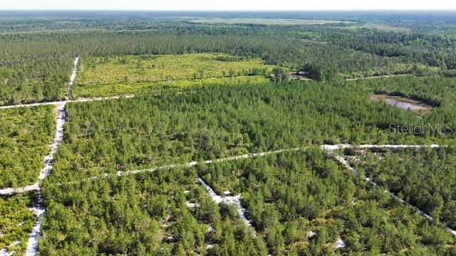 SAWGRASS FILL RD, EUSTIS, FL, 32736