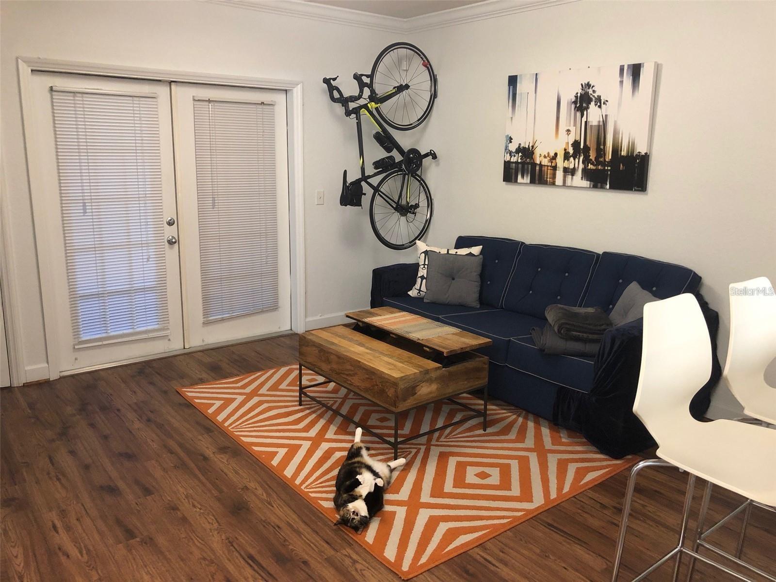 202 E SOUTH ST #1036, ORLANDO, FL, 32801