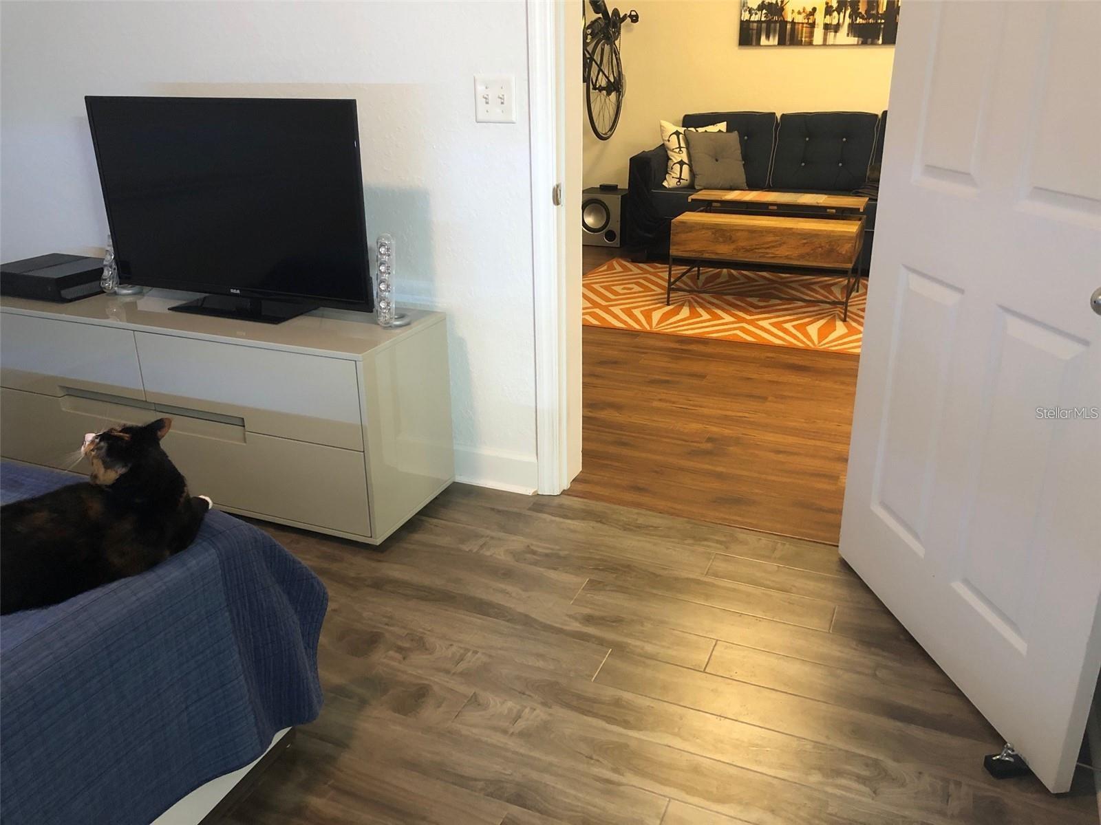 202 E SOUTH ST #1036, ORLANDO, FL, 32801