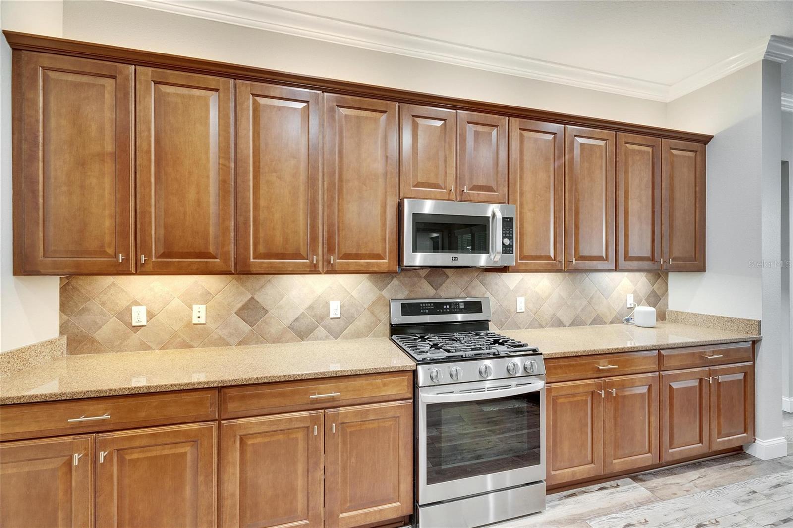 5326 LOON NEST CT, APOLLO BEACH, FL, 33572