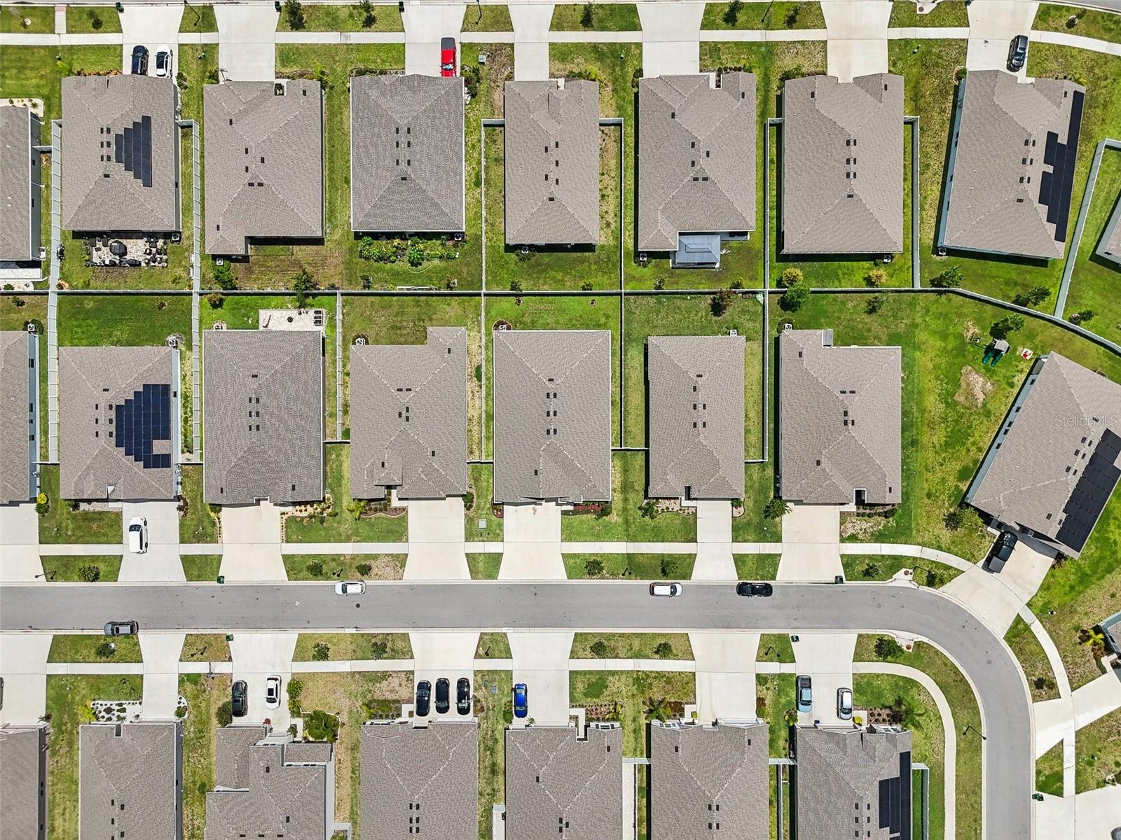 7323 STEER BLADE DR, ZEPHYRHILLS, FL, 33541