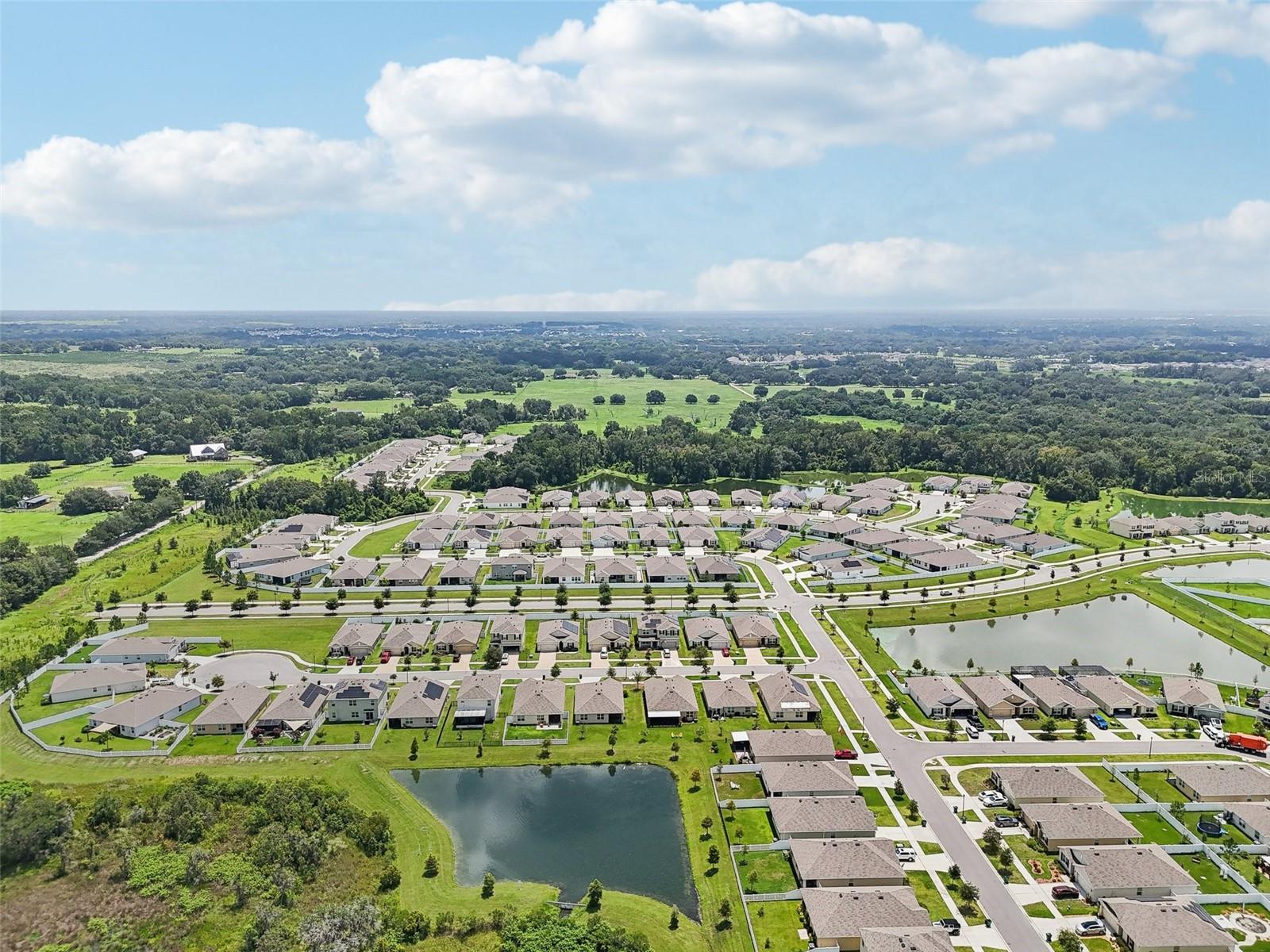 7323 STEER BLADE DR, ZEPHYRHILLS, FL, 33541